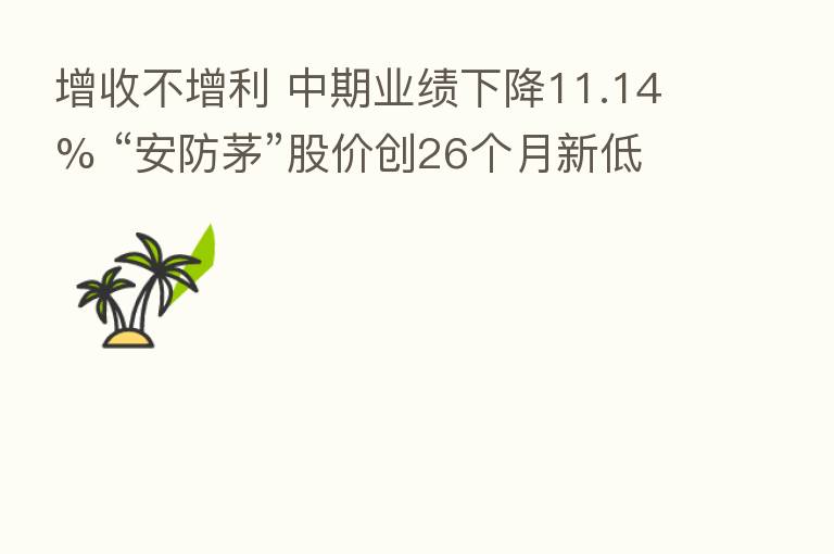 增收不增利 中期业绩下降11.14% “安防茅”股价创26个月新低