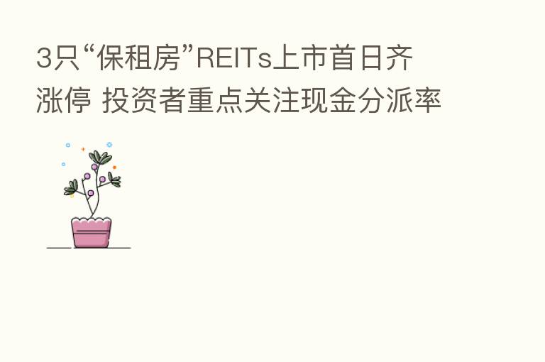 3只“保租房”REITs上市首日齐涨停 投资者重点关注现金分派率