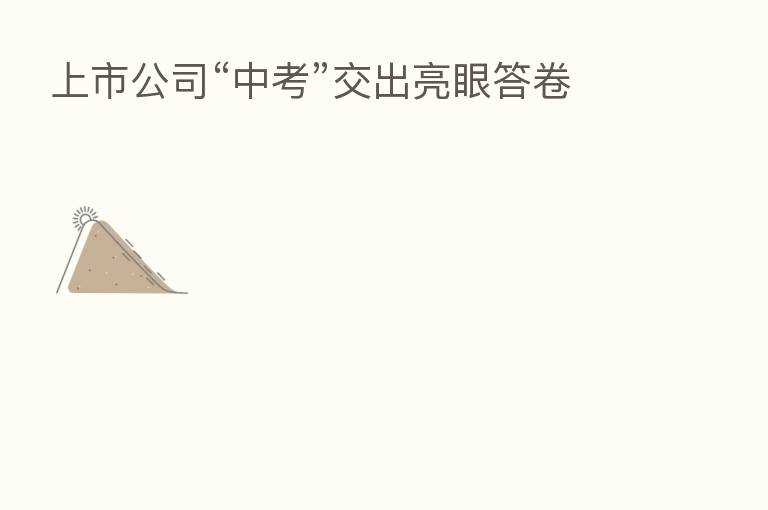 上市公司“中考”交出亮眼答卷