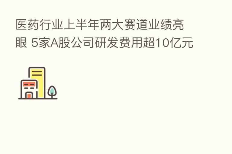 医药行业上半年两大赛道业绩亮眼 5家A股公司研发费用超10亿元
