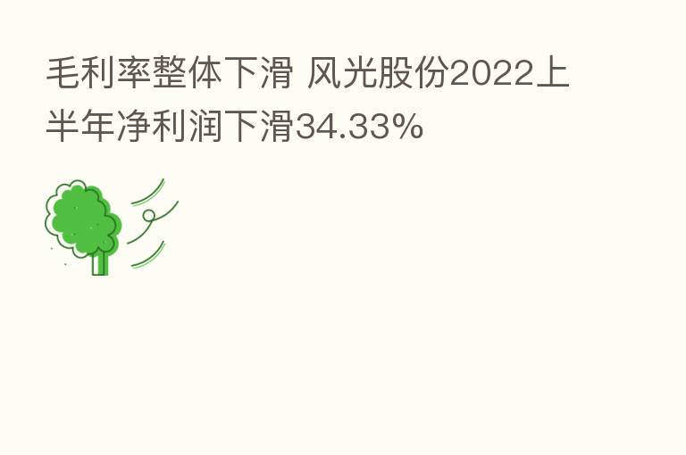 毛利率整体下滑 风光股份2022上半年净利润下滑34.33%