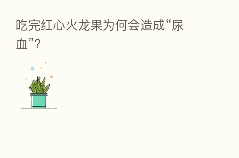 吃完红心火龙果为何会造成“尿血”?