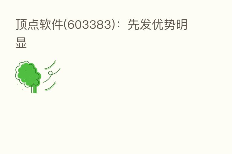 顶点软件(603383):先发优势明显