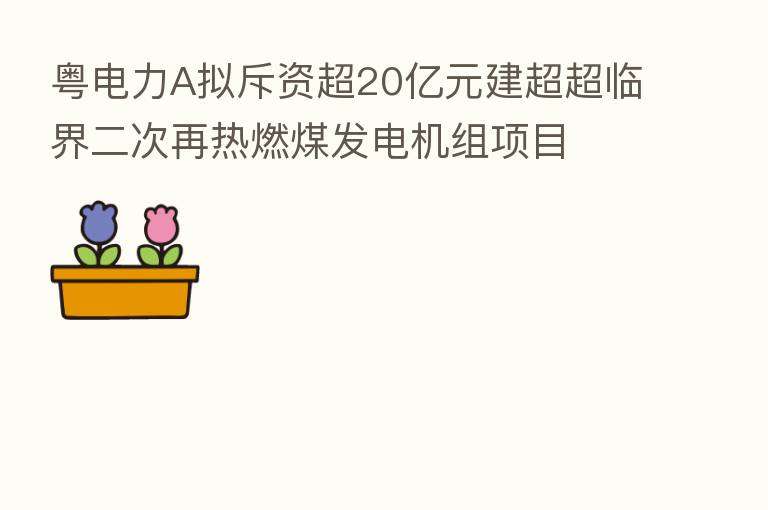 粤电力A拟斥资超20亿元建超超临界二次再热燃煤发电机组项目 按下能源结构优化“快进键”