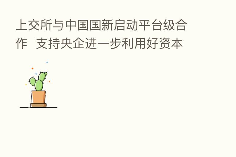 上交所与中国国新启动平台级合作 支持央企进一步利用好资本市场