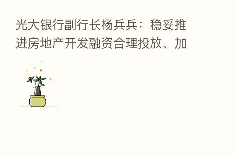 光大银行副行长杨兵兵：稳妥推进房地产开发融资合理投放、加大保障性租赁住房项目支持力度