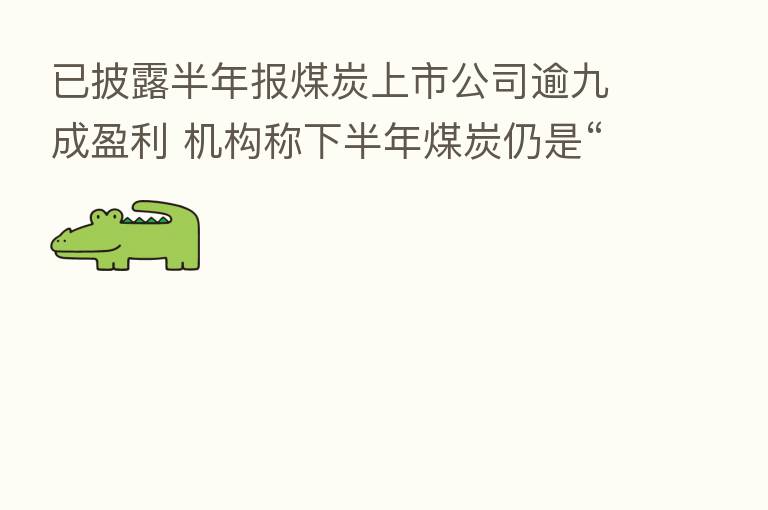 已披露半年报煤炭上市公司逾九成盈利 机构称下半年煤炭仍是“抢手货”
