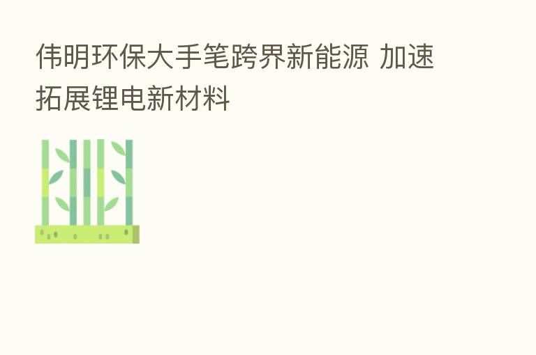 伟明环保大手笔跨界新能源 加速拓展锂电新材料