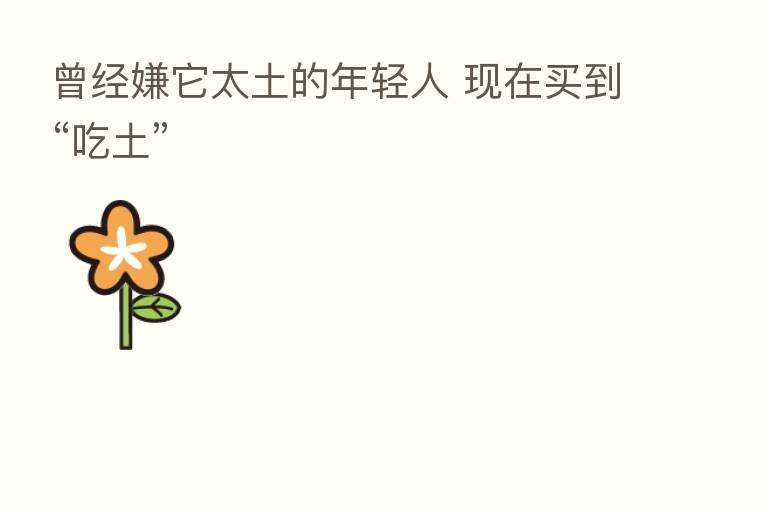 曾经嫌它太土的年轻人 现在买到“吃土”