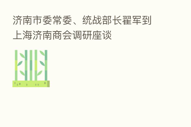济南市委常委、统战部长翟军到上海济南商会调研座谈