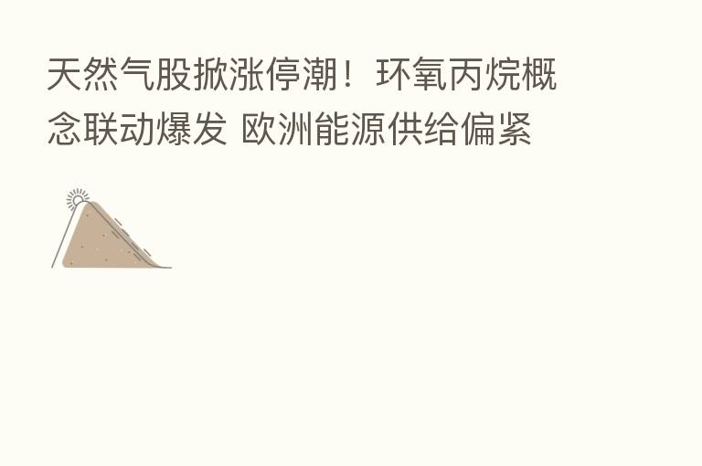 天然气股掀涨停潮!环氧丙烷概念联动爆发 欧洲能源供给偏紧 这些化工方向或可关注