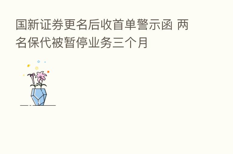 国新证券更名后收首单警示函 两名保代被暂停业务三个月