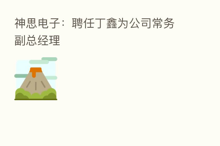 神思电子:聘任丁鑫为公司常务副总经理