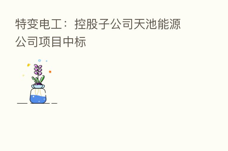 特变电工:控股子公司天池能源公司项目中标