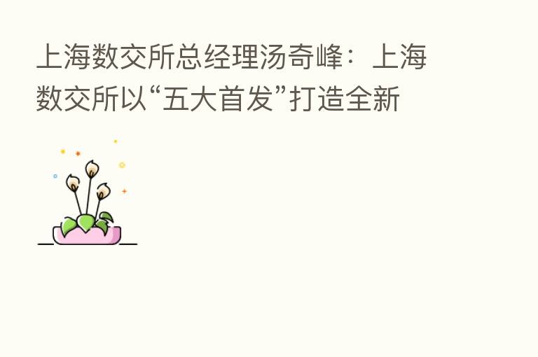 上海数交所总经理汤奇峰:上海数交所以“五大首发”打造全新的数字资产板块