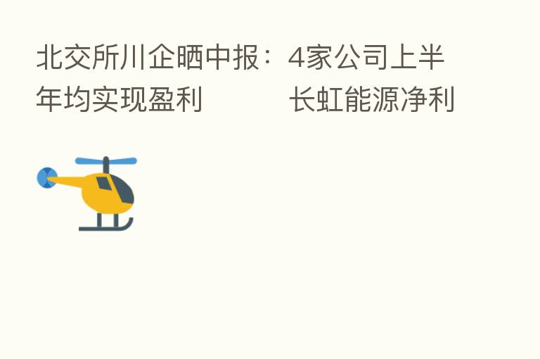 北交所川企晒中报:4家公司上半年均实现盈利 长虹能源净利润居首 中寰股份降两成
