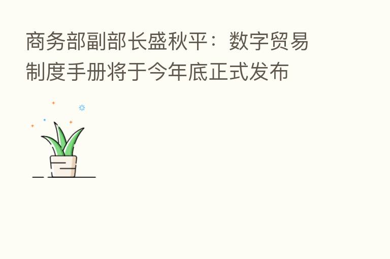 商务部副部长盛秋平:数字贸易制度手册将于今年底正式发布