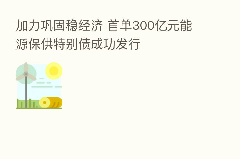 加力巩固稳经济 首单300亿元能源保供特别债成功发行