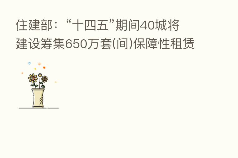 住建部：“十四五”期间40城将建设筹集650万套(间)保障性租赁住房