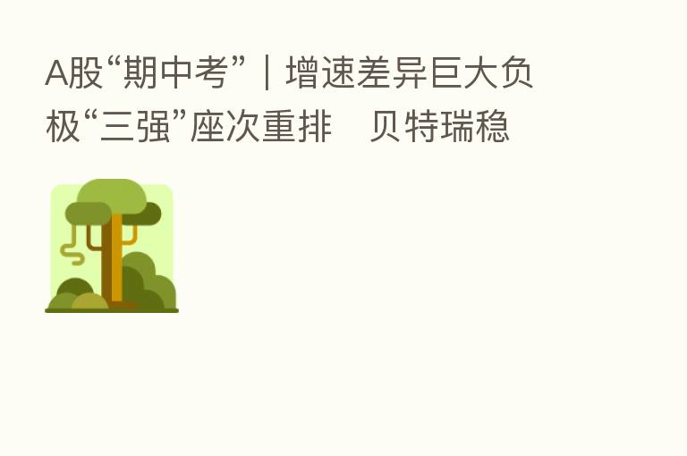 A股“期中考”|增速差异巨大负极“三强”座次重排 贝特瑞稳居龙头杉杉晋级榜眼