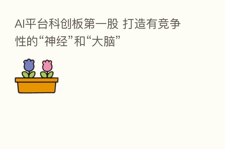 AI平台科创板 一股 打造有竞争性的“神经”和“大脑”