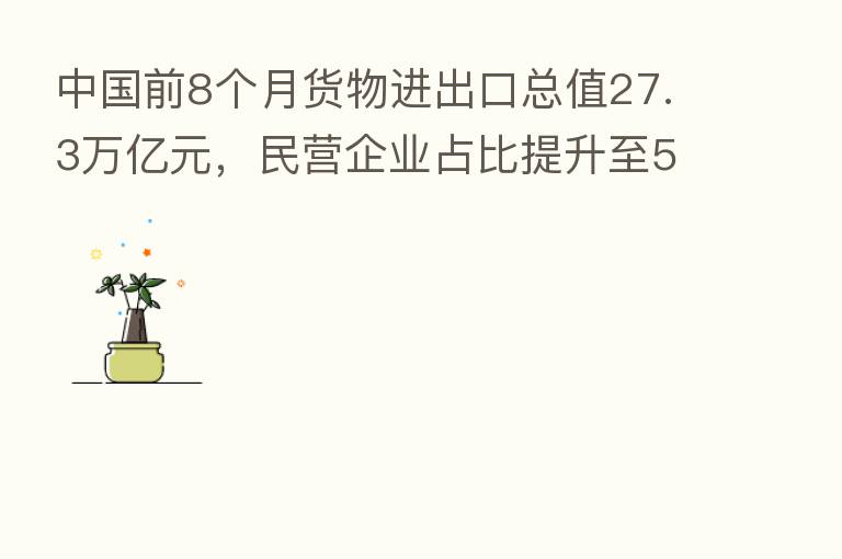 中国前8个月货物进出口总值27.3万亿元,民营企业占比提升至50.1%