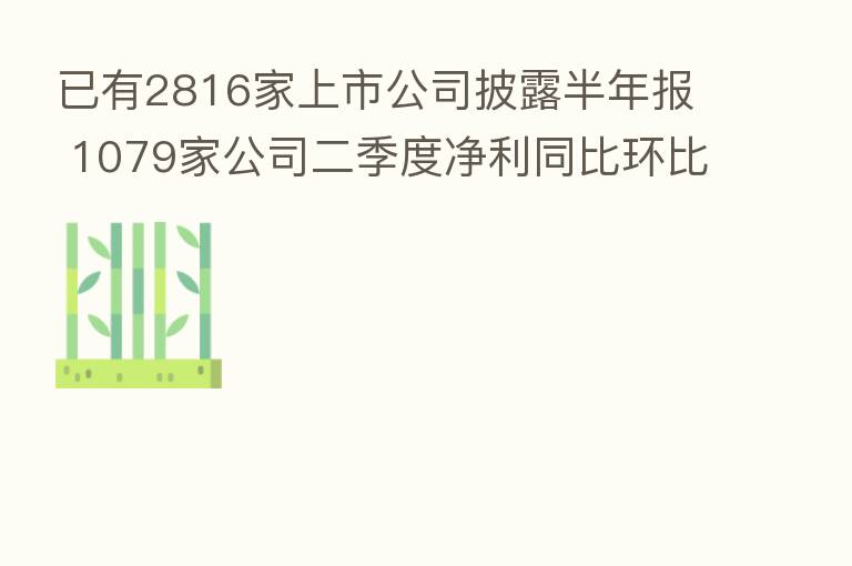 已有2816家上市公司披露半年报 1079家公司二季度净利同比环比双增