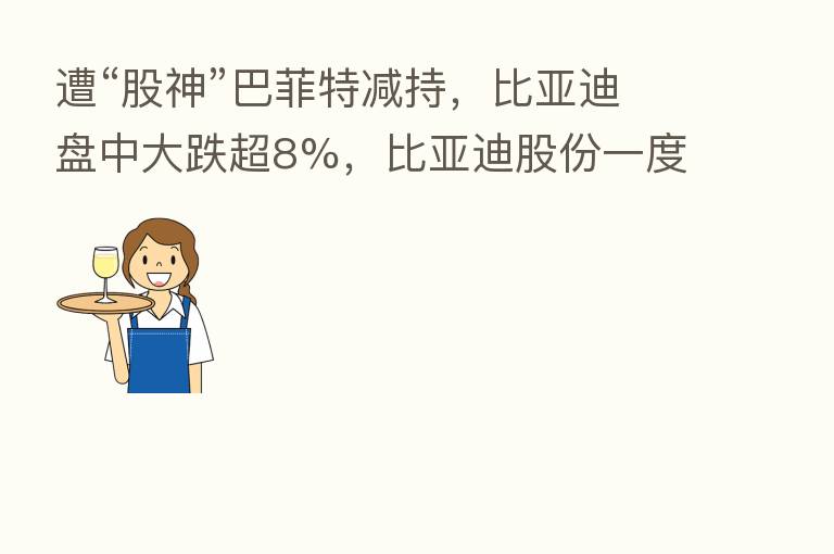 遭“股神”巴菲特减持，比亚迪盘中大跌超8%，比亚迪股份一度跌13%