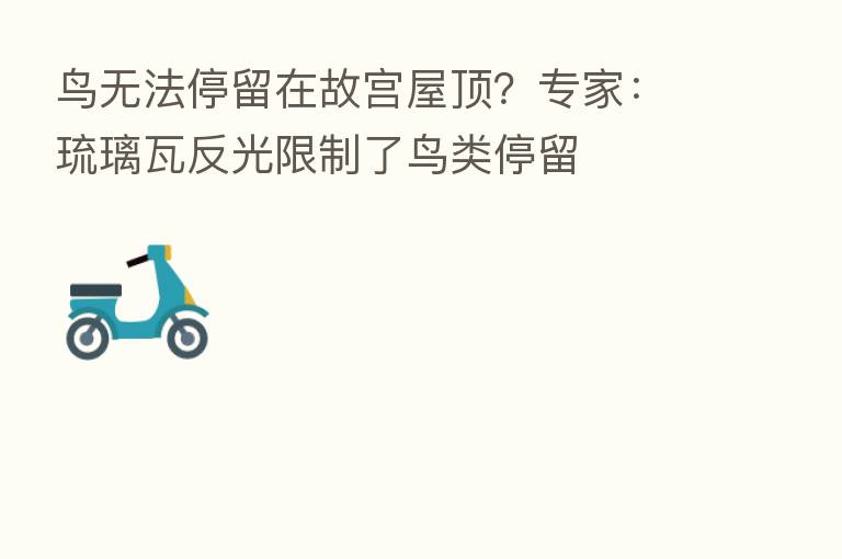 鸟无法停留在故宫屋顶?专家:琉璃瓦反光限制了鸟类停留