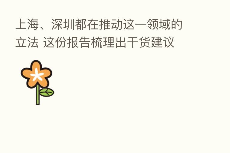 上海、深圳都在推动这一领域的立法 这份报告梳理出干货建议