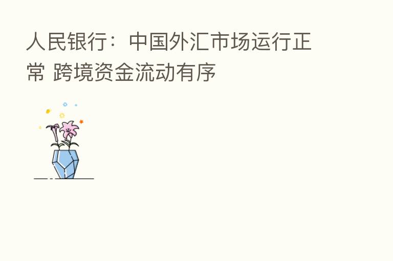 人民银行:中国外汇市场运行正常 跨境资金流动有序
