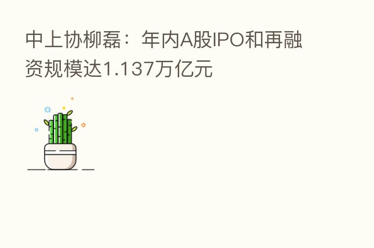 中上协柳磊:年内A股IPO和再融资规模达1.137万亿元