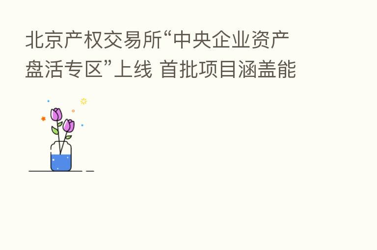 北京产权交易所“中央企业资产盘活专区”上线 首批项目涵盖能源、环保等领域
