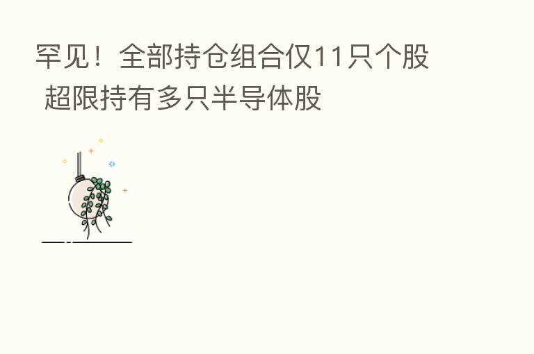 罕见!全部持仓组合仅11只个股 超限持有多只半导体股