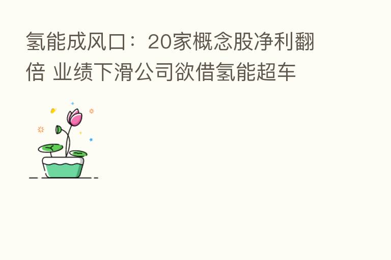 氢能成风口:20家概念股净利翻倍 业绩下滑公司欲借氢能超车