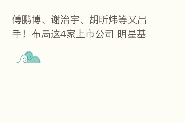 傅鹏博、谢治宇、胡昕炜等又出手!布局这4家上市公司 明星基金经理积极参与定增
