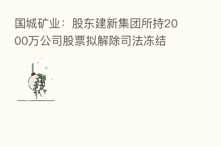 国城矿业:股东建新集团所持2000万公司股票拟解除司法冻结