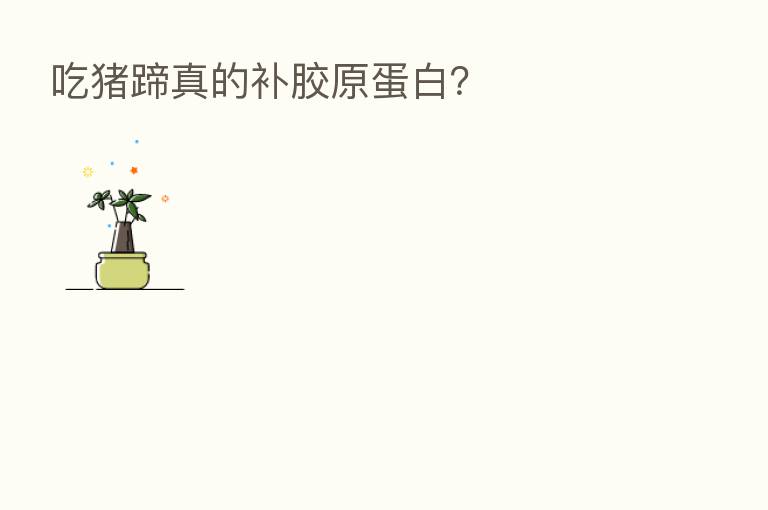 吃猪蹄真的补胶原蛋白?
