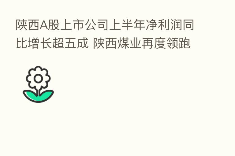 陕西A股上市公司上半年净利润同比增长超五成 陕西煤业再度领跑盈利榜
