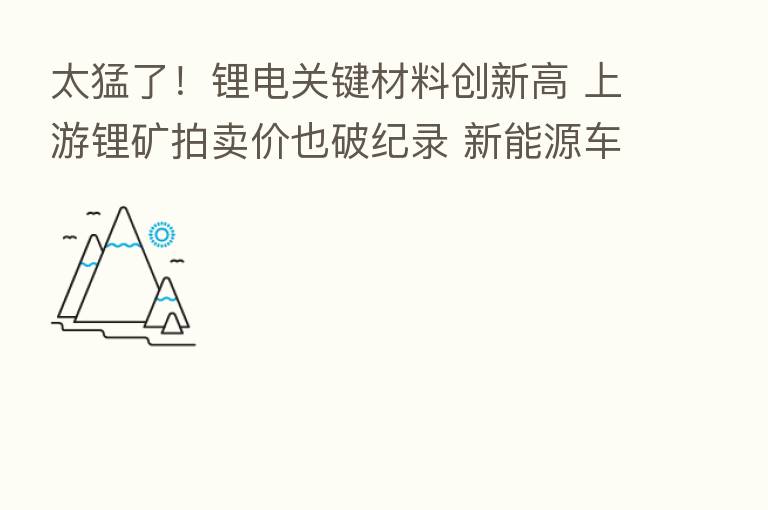 太猛了!锂电关键材料创新高 上游锂矿拍卖价也破纪录 新能源车还得涨价?