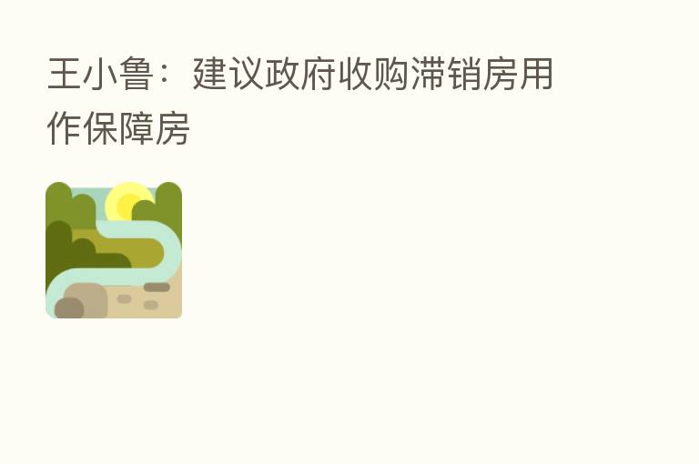 王小鲁:建议政府收购滞销房用作保障房
