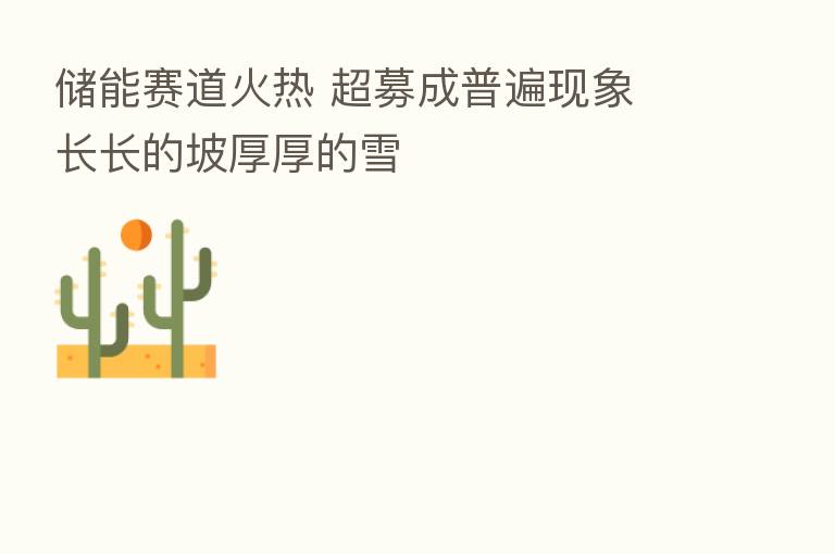 储能赛道火热 超募成普遍现象 长长的坡厚厚的雪