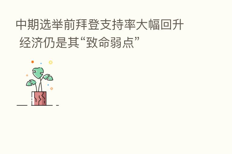 中期选举前拜登支持率大幅回升 经济仍是其“致命弱点”