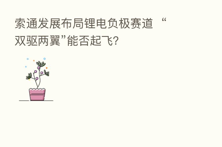 索通发展布局锂电负极赛道  “双驱两翼”能否起飞？