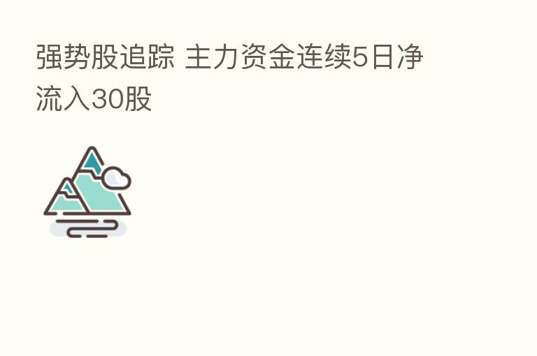 强势股追踪 主力资金连续5日净流入30股
