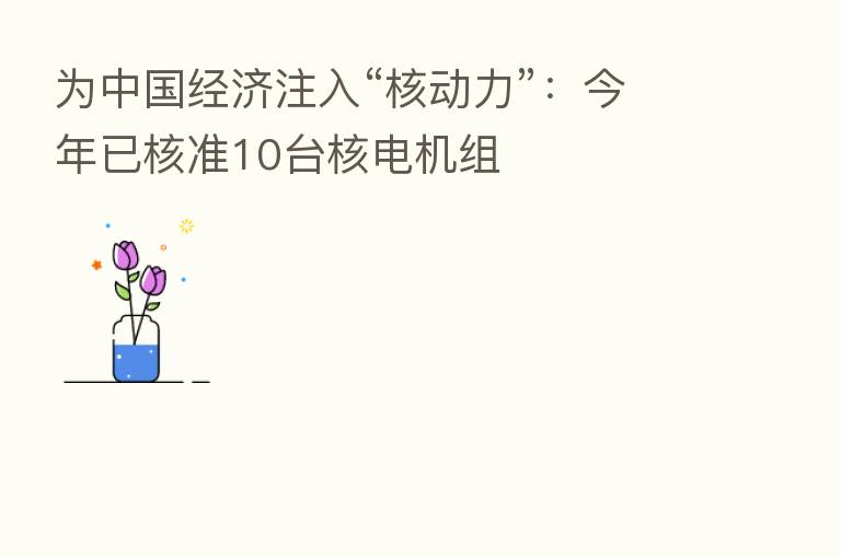 为中国经济注入“核动力”:今年已核准10台核电机组