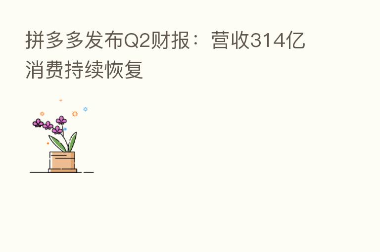 拼多多发布Q2财报:营收314亿 消费持续恢复