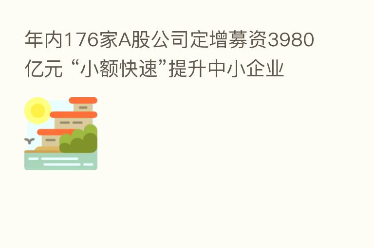 年内176家A股公司定增募资3980亿元 “小额快速”提升中小企业融资效率