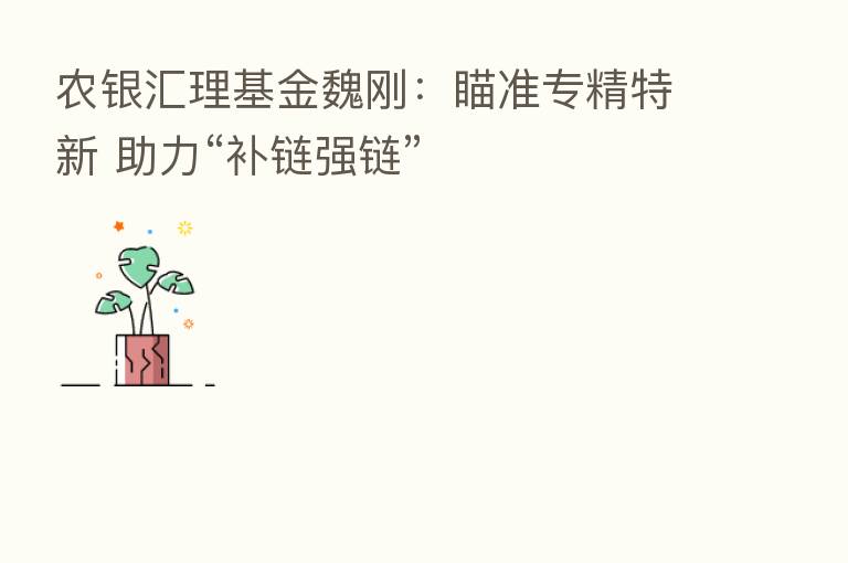 农银汇理基金魏刚:瞄准专精特新 助力“补链强链”