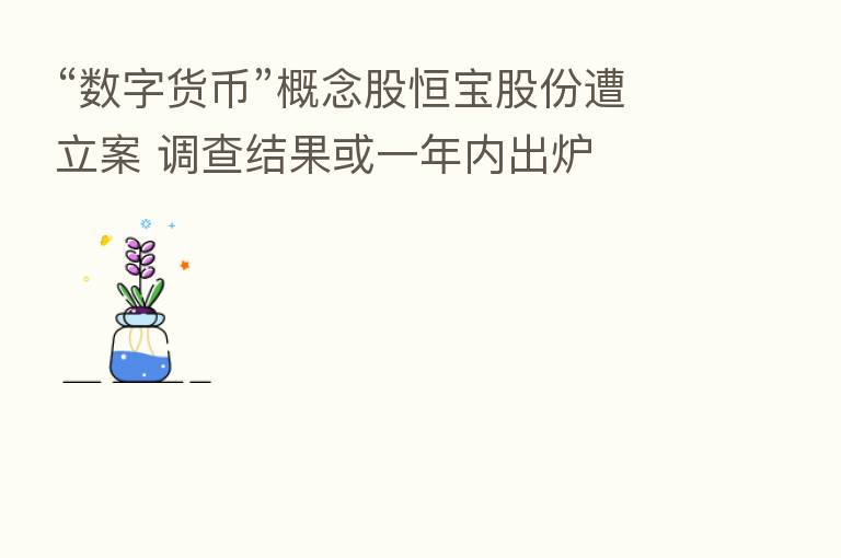 “数字货币”概念股恒宝股份遭立案 调查结果或一年内出炉